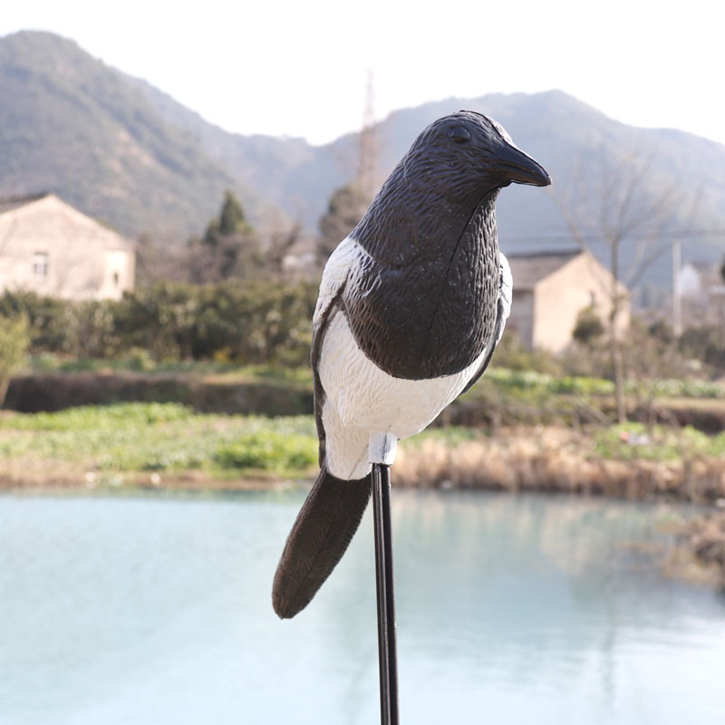 GUGULUZA av tuzağı Saksağan Pl - Hunting Outdoor Decor incelemesi ve fiyatı